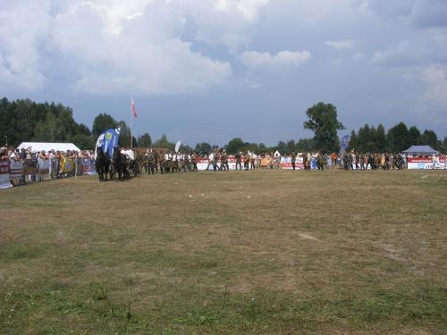 DSCF0194