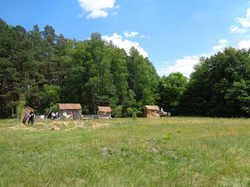 DSC02366