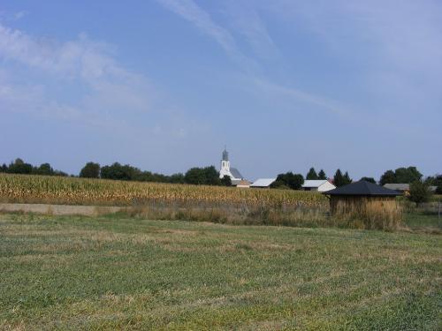 DSCF0366