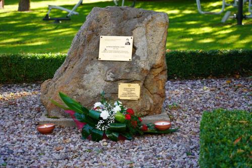 554932561 24747597771543672 8960683572710245947 n