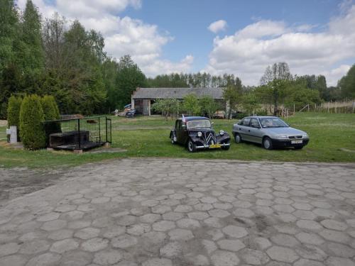IMG-20260510-WA0012