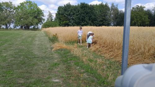 IMG-20260804-WA0081