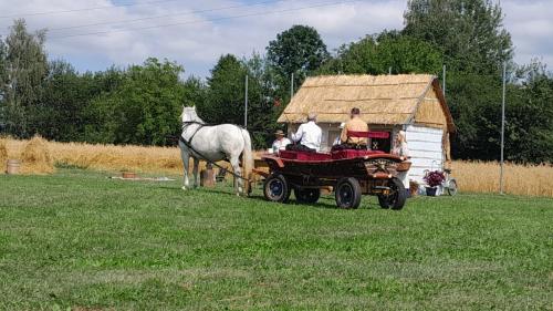 IMG-20260804-WA0100