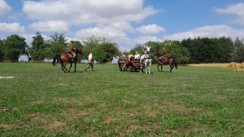 IMG-20260804-WA0106